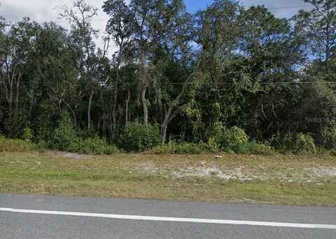 7446 TREIMAN BOULEVARD, WEBSTER, FL 33597