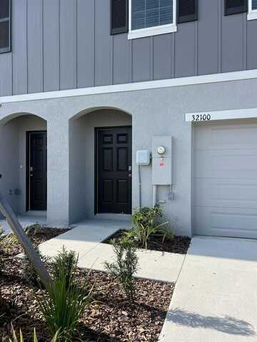 32100 EASTERN REDBUD BRANCH, SAN ANTONIO, FL 33576