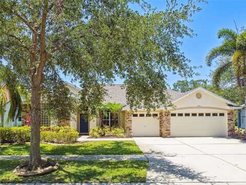 7246 BUCKS FORD DRIVE, RIVERVIEW, FL 33578