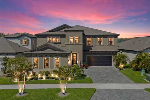 13019 WILDFLOWER MEADOW DRIVE, RIVERVIEW, FL 33579