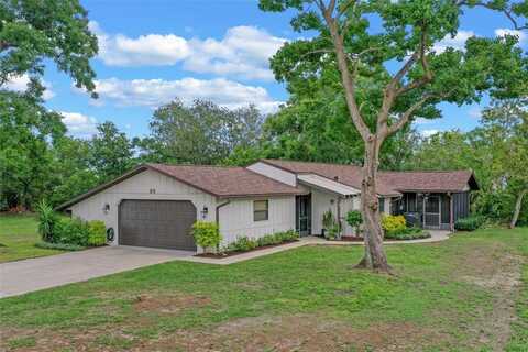 33 PALM DRIVE, YALAHA, FL 34797