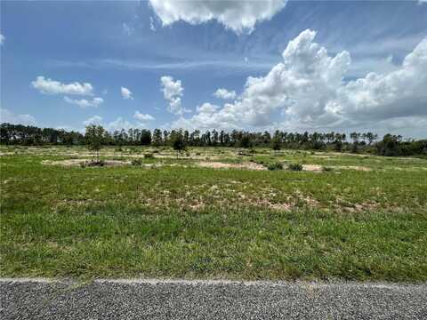 00000 SE 170TH AVENUE, WEIRSDALE, FL 32195