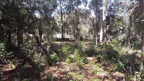 13231 BISSELL DRIVE, PUNTA GORDA, FL 33955