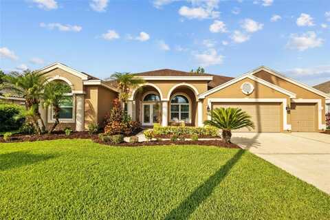12009 WANDSWORTH DRIVE, TAMPA, FL 33626