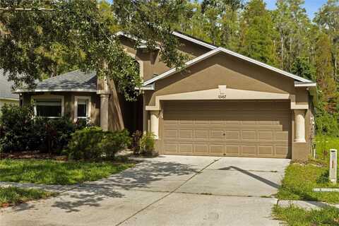 10462 LUCAYA DRIVE, TAMPA, FL 33647