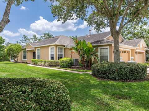 19137 LAKE AUDUBON DRIVE, TAMPA, FL 33647