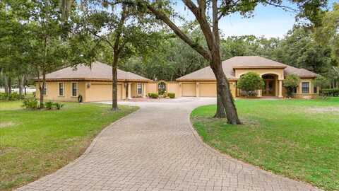 16608 LIVINGSTON AVENUE, LUTZ, FL 33559