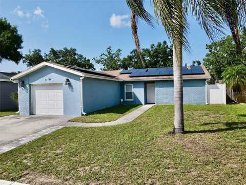 11521 PAPERWOOD PLACE, RIVERVIEW, FL 33579