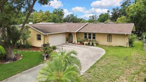 17706 MORNINGHIGH DRIVE, LUTZ, FL 33549