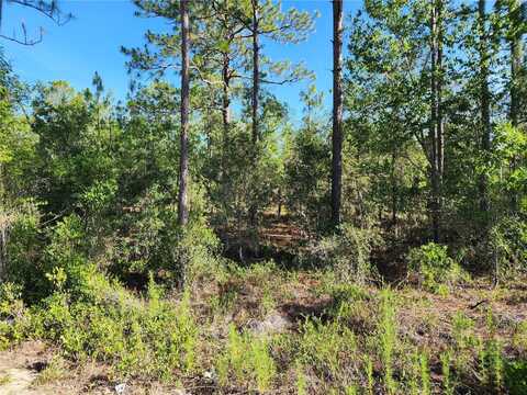 SW EDGEWATER, DUNNELLON, FL 34431