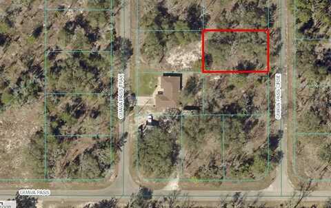 Tbd GUAVA PASS CROSSING CROSSING, OCKLAWAHA, FL 32179