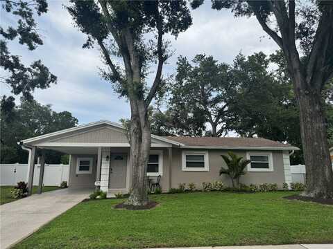 2044 BALFOUR CIRCLE, TAMPA, FL 33619