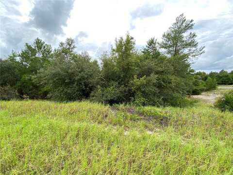 1362 HOMOSASSA DRIVE, KISSIMMEE, FL 34759