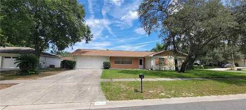 420 GREEN ARBOR DRIVE, BRANDON, FL 33511