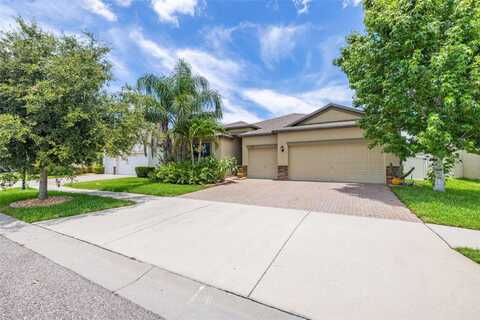 9860 SMARTY JONES DRIVE, RUSKIN, FL 33573