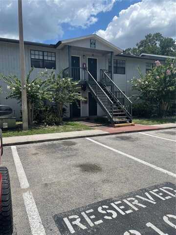 203 PINE VIOLET COURT, TAMPA, FL 33612