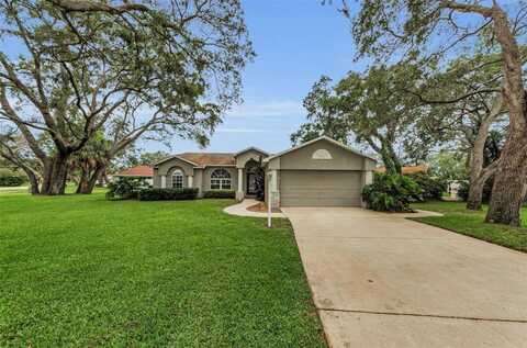 8060 TIMBERLAKE AVENUE, SPRING HILL, FL 34606