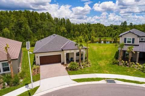 17263 MANGO SHAY COURT, LAND O LAKES, FL 34638