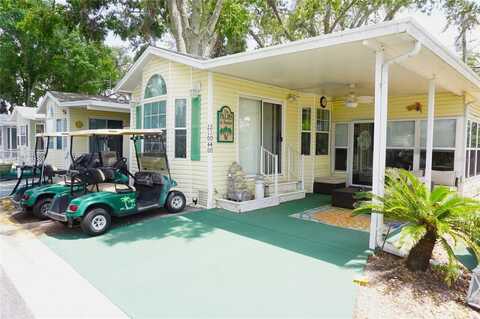21040 LAZY DAYS CIRCLE, LUTZ, FL 33558