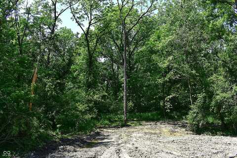 Lot 1 Whitetail Ridge, Mooresville, IN 46158