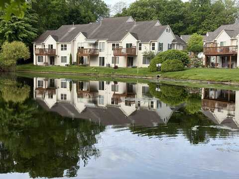 119 Pondview, Brighton, MI 48116