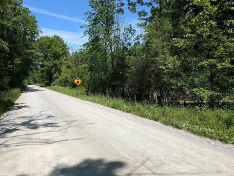 000 Fox, Goodells, MI 48027