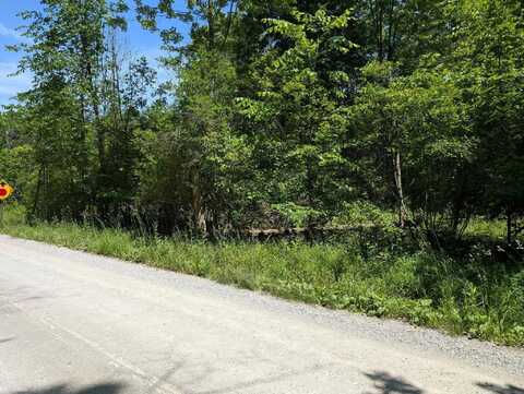 0000 Fox, Goodells, MI 48027