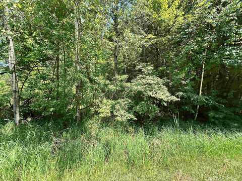 VL Pinconning, Beaverton, MI 48612