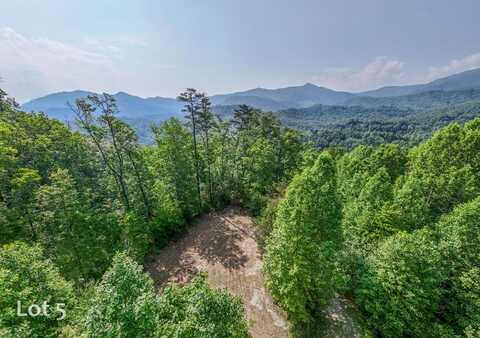 1200 Tobacco Branch Road, ALMOND, NC 28702