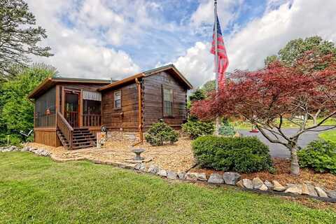 41 Wilderness Court, BLAIRSVILLE, GA 30512