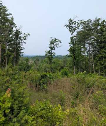 00 Martin Road, MURPHY, NC 28906