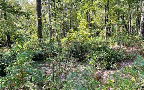 Lot E Timber Ridge, HAYESVILLE, NC 28904