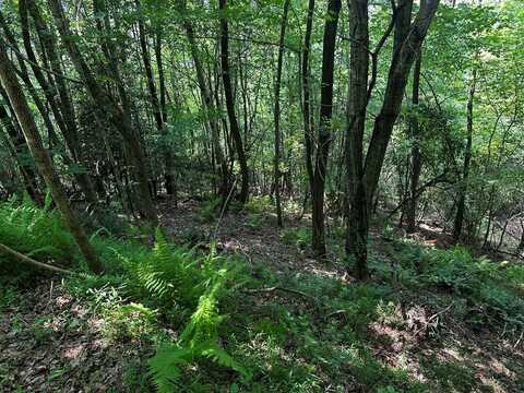 Lot 16 Freedom Pass Dr., MURPHY, NC 28906