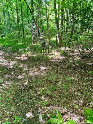00 Deer Run - Lot 21 & 26, ROBBINSVILLE, NC 28771