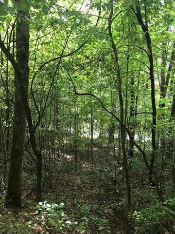Lot 1 Indian Lake Drive, TOPTON, NC 28781