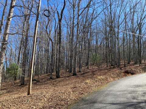 Lot 4 Mirandi Drive, WARNE, NC 28909