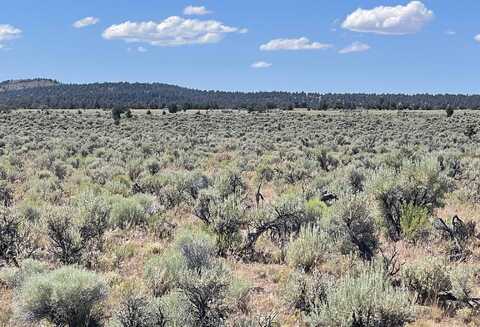 Benjamin Lake Road, Christmas Valley, OR 97641