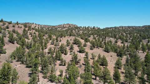 0000 SE TBD Doubtful Dirt Road, Prineville, OR 97754
