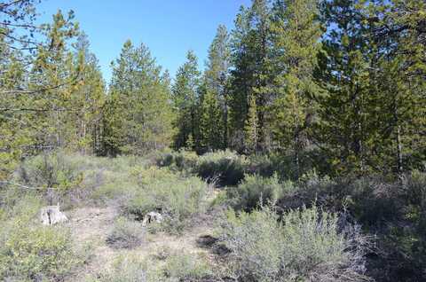 Forest Service Road, Gilchrist, OR 97737