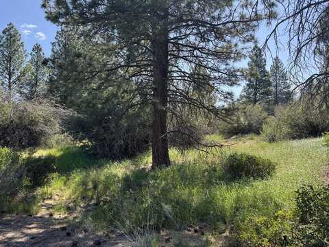 Lakeland Road, Chiloquin, OR 97624