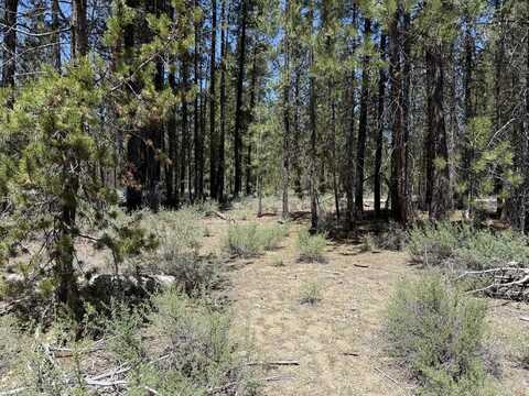 Off NF 9768, Crescent, OR 97733