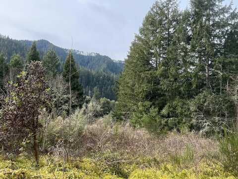 HWY 138 West, Oakland, OR 97462