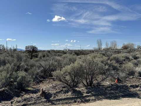 Cottonwood Lane, Christmas Valley, OR 97641