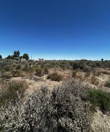 Cottonwood Road, TL 1800/1900, Christmas Valley, OR 97641