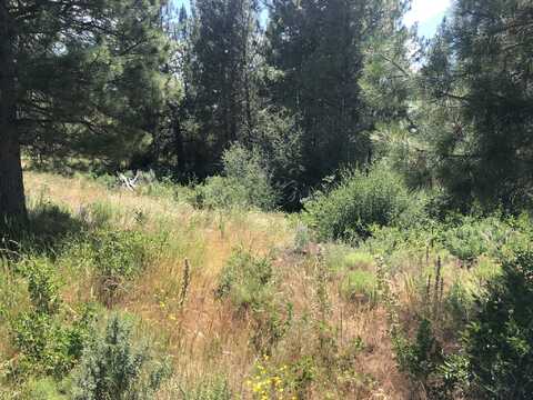 Margi Way, Chiloquin, OR 97624