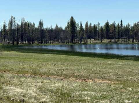 Off Hicks Road, Bly, OR 97622