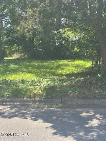 203 Booker Street, Pikeville, NC 27863