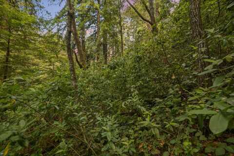 Lot 02 Cathedral DR, APTOS, CA 95003