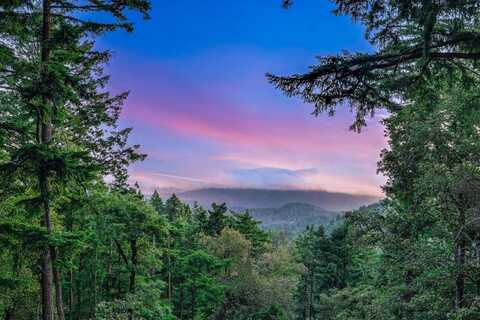 12338 First Fork RD, LOS GATOS, CA 95033
