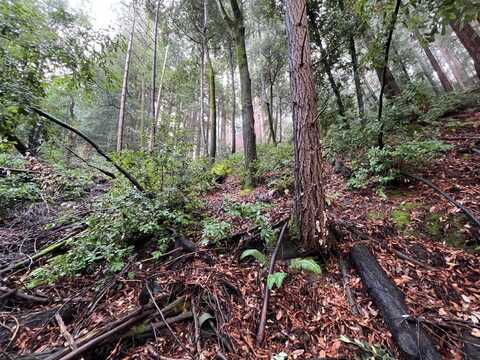 0 Deer Trail WAY, SCOTTS VALLEY, CA 95066